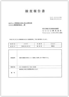 検査報告書（イメージ）
